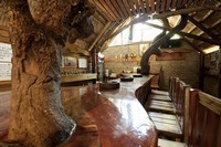 Triton Bar